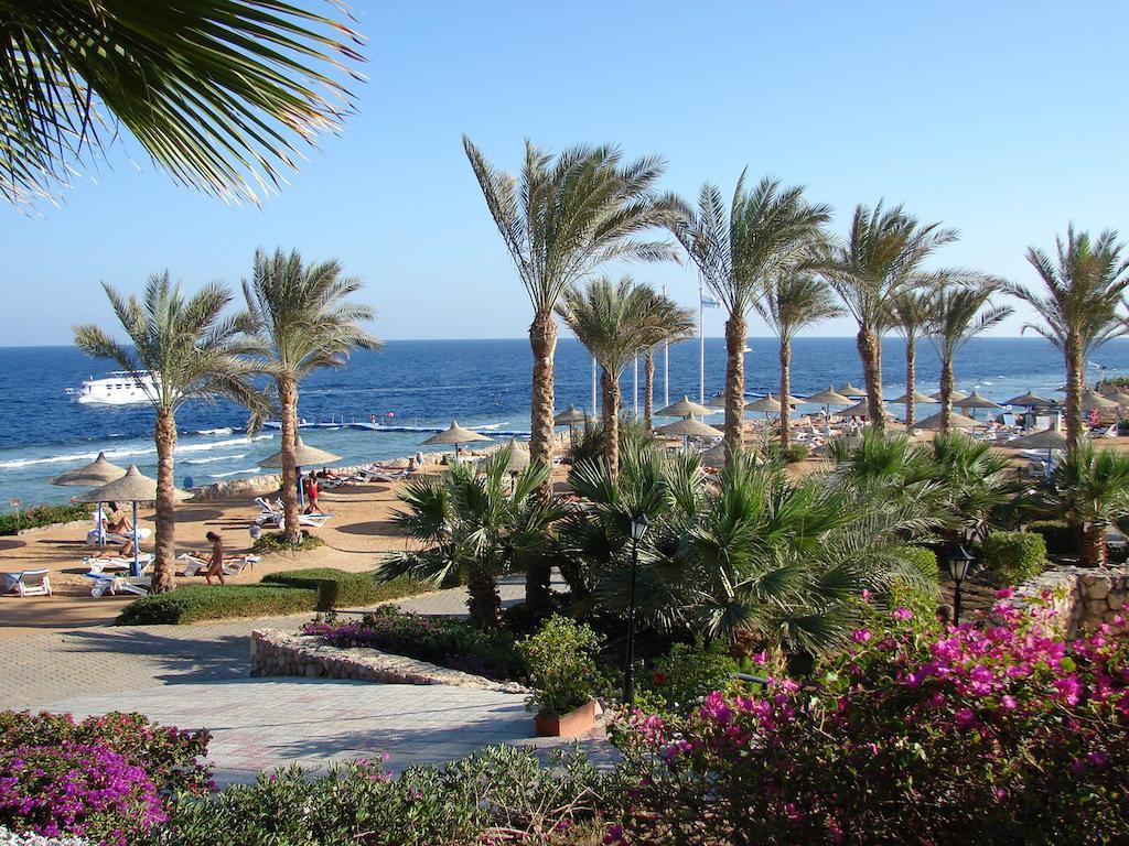 Queen Sharm Aqua Park Hotel Exterior photo